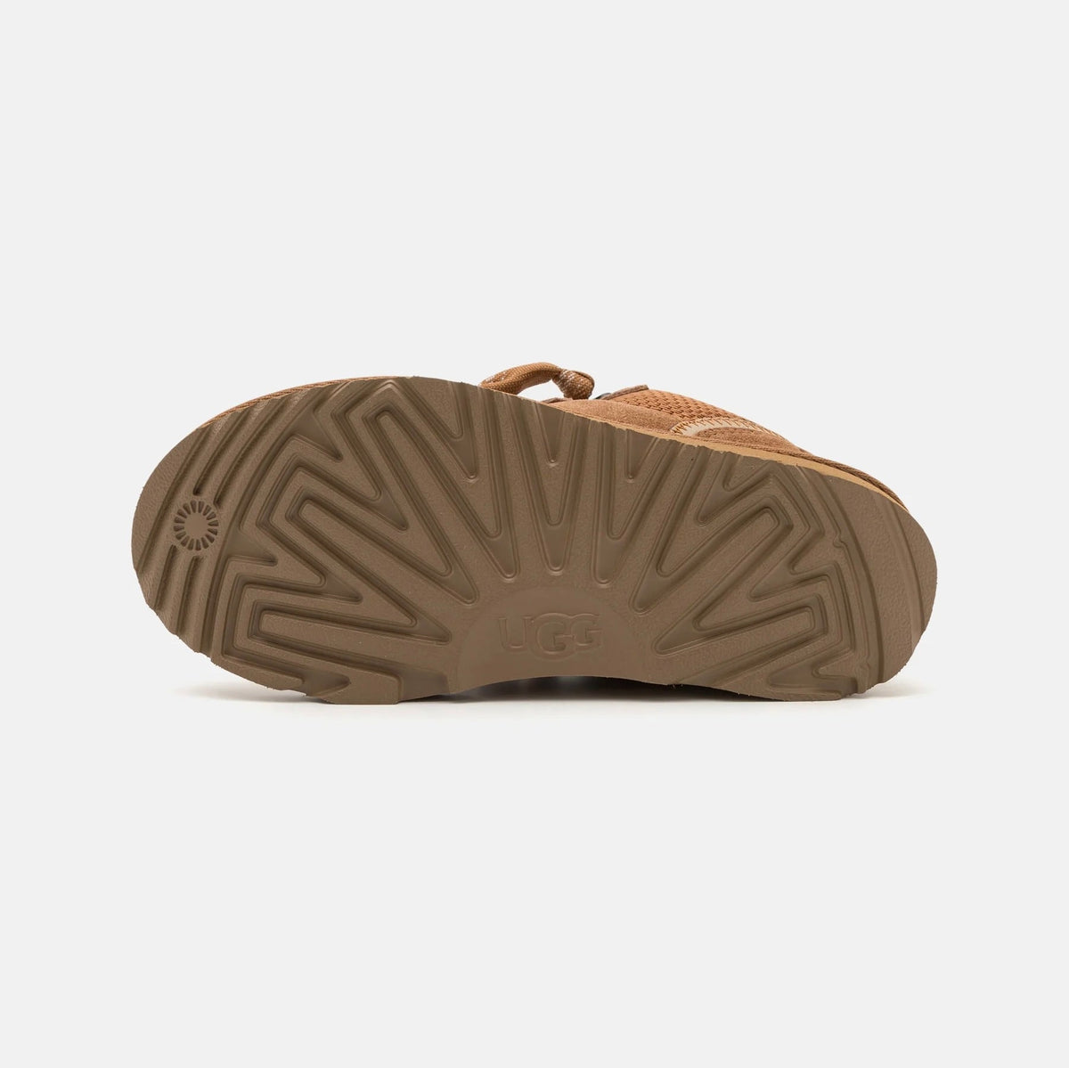 UGG Lowmel Chestnut sneakers bambino in pelle scamosciata marrone chestnut, dettaglio interno