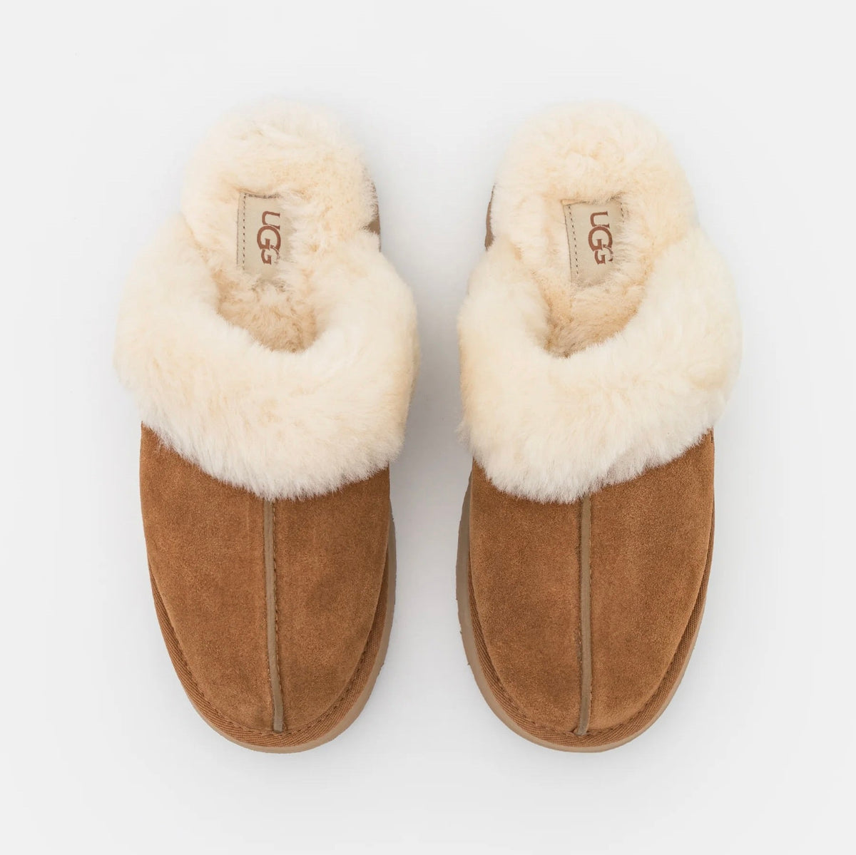 UGG Disquette Chestnut sabot donna in pelle scamosciata e montone marrone chestnut, dettaglio interno