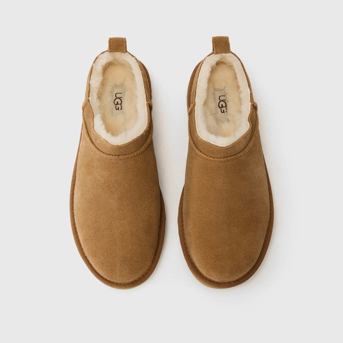 UGG Classic Micro Chestnut stivaletti donna in pelle scamosciata e montone marrone chestnut, vista posteriore