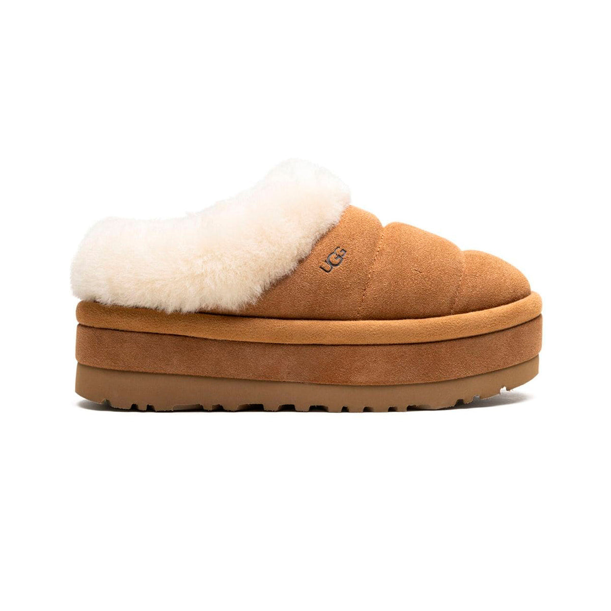 UGG Tazzlita Chestnut ciabatte uomo e donna in pelle scamosciata e montone marrone chestnut, vista laterale