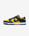 Nike Dunk Low Uomo Donna, Sneakers Basse in Pelle, Suola in Gomma