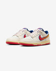 Nike Dunk Low Retro Lettering sneakers basse uomo e donna in pelle multicolore, vista frontale