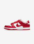 Nike Dunk Low Uomo Donna, Sneakers Basse in Pelle, Suola in Gomma