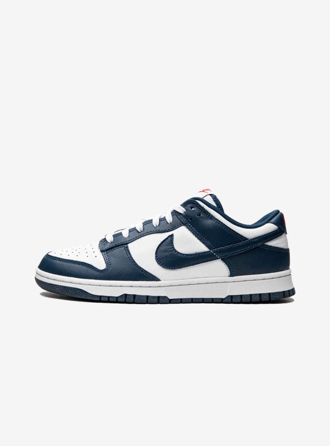 Nike Dunk Low Uomo Donna, Sneakers Basse in Pelle, Suola in Gomma